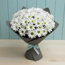 Букет цветов из:  Хризантемы в Мраково Кугарчинский район