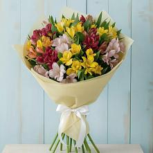 Букет цветов из:  Альстромерии #REPLACE_PRED# Мраково Кугарчинский район