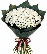 Букет цветов из:  Хризантемы в Мраково Кугарчинский район