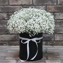 Цветочная композиция из Гипсофила в шляпной коробке в Мраково Кугарчинский район