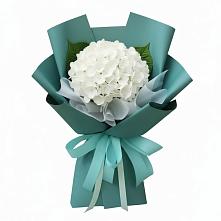 Букет цветов из:  Гортензия #REPLACE_PRED# Мраково Кугарчинский район